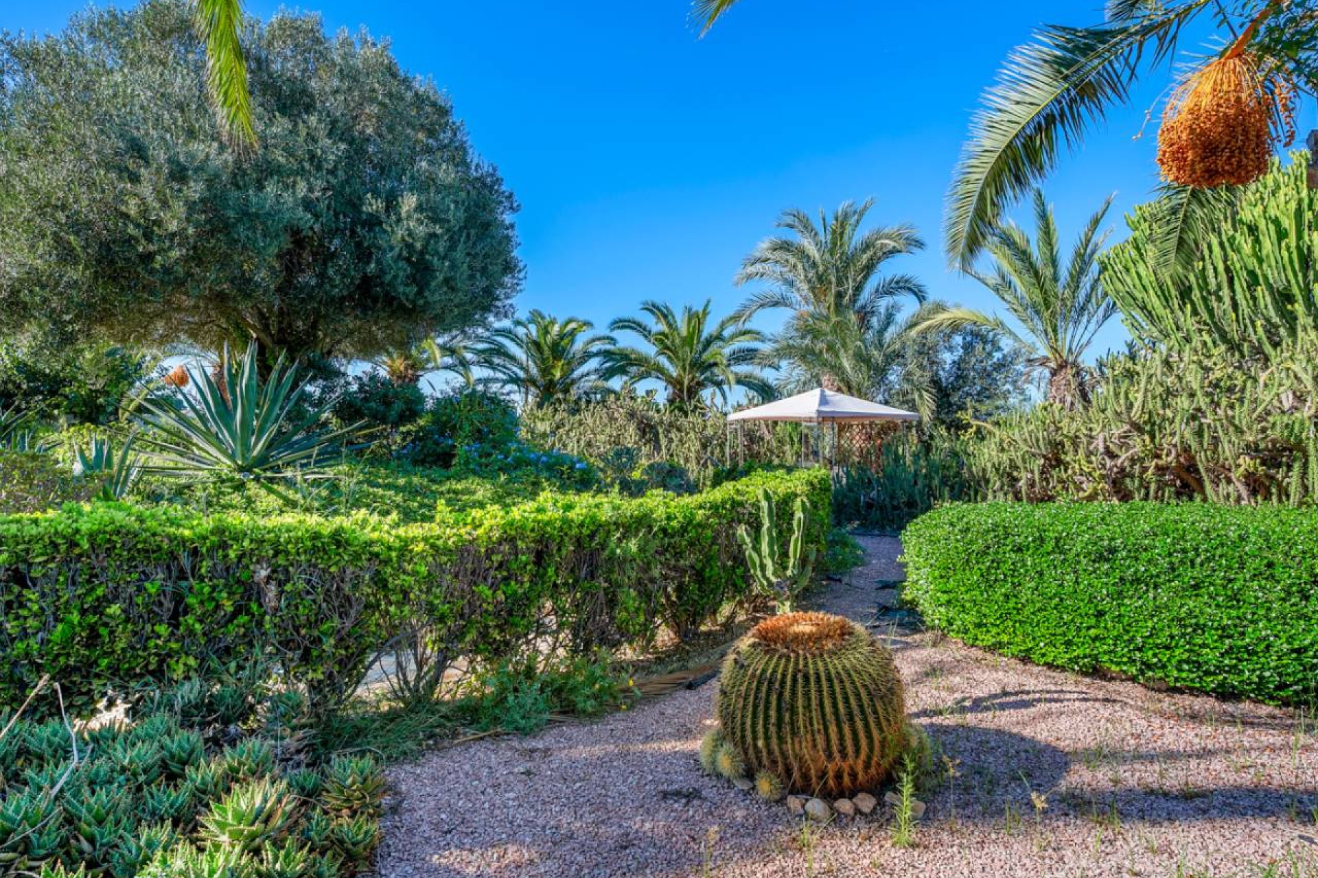 Resale - Country House - Los Montesinos