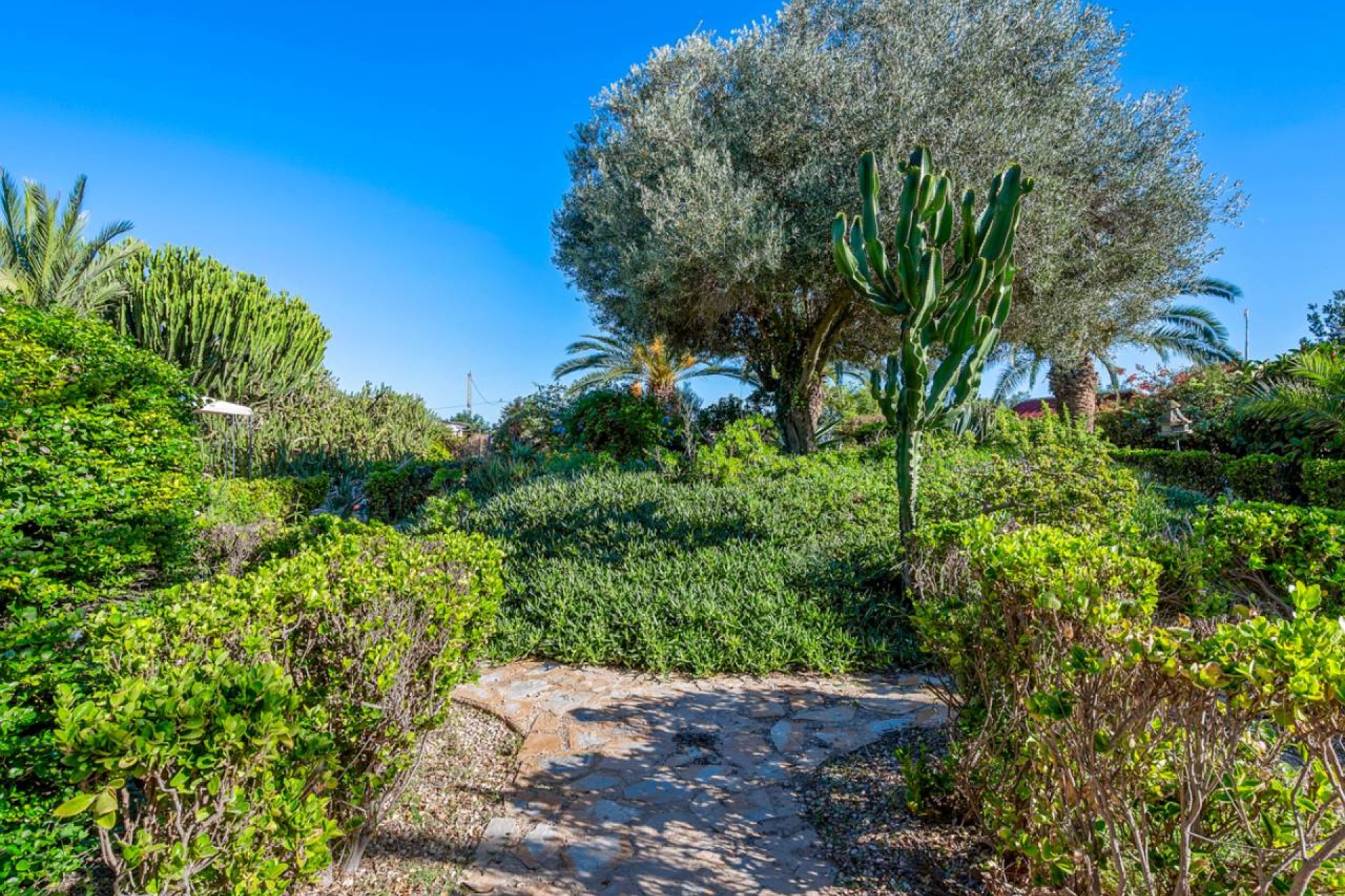 Resale - Country House - Los Montesinos