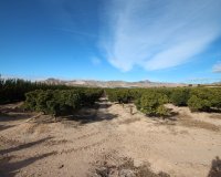 Resale - Country House - Murcia - Costa Blanca