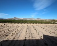 Resale - Country House - Murcia - Costa Blanca