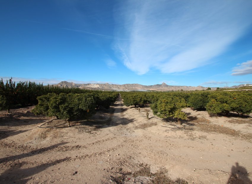 Resale - Country House - Murcia - Costa Blanca