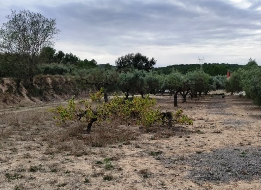 Resale - Country House - Ontinyent