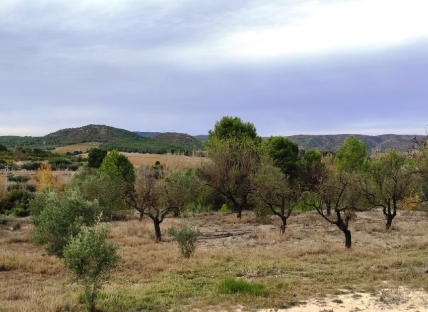 Resale - Country House - Ontinyent