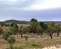 Resale - Country House - Ontinyent