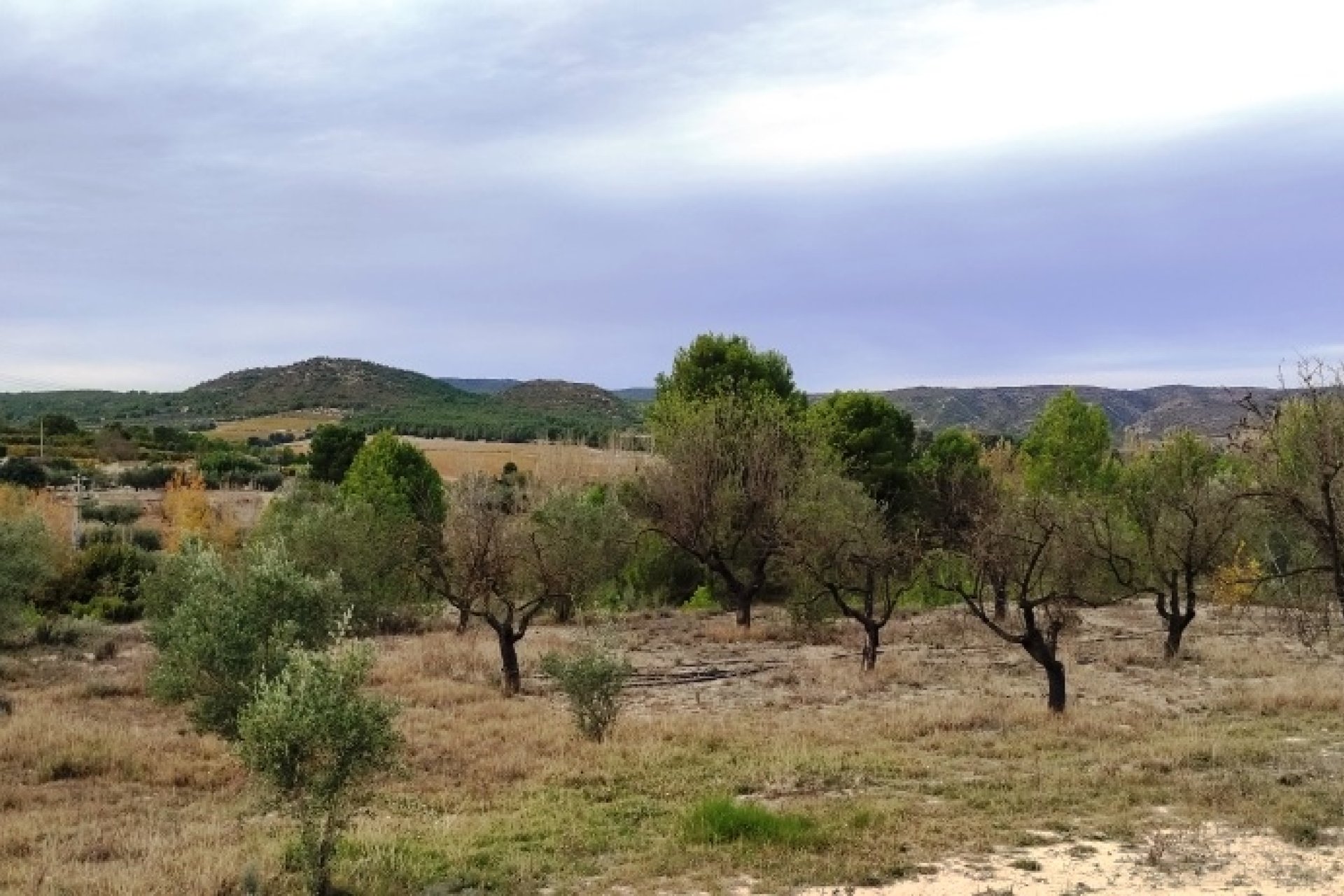 Resale - Country House - Ontinyent