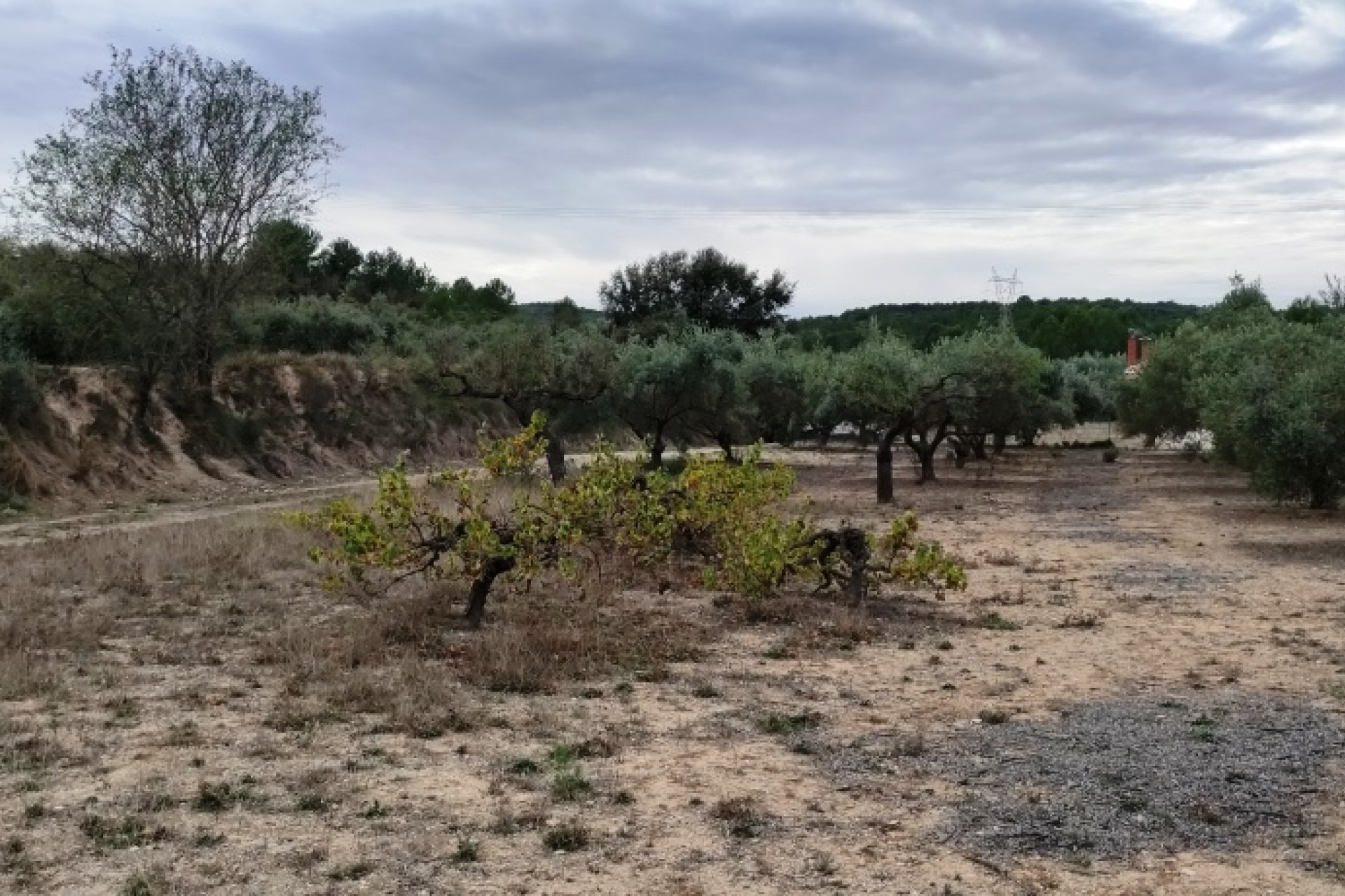 Resale - Country House - Ontinyent