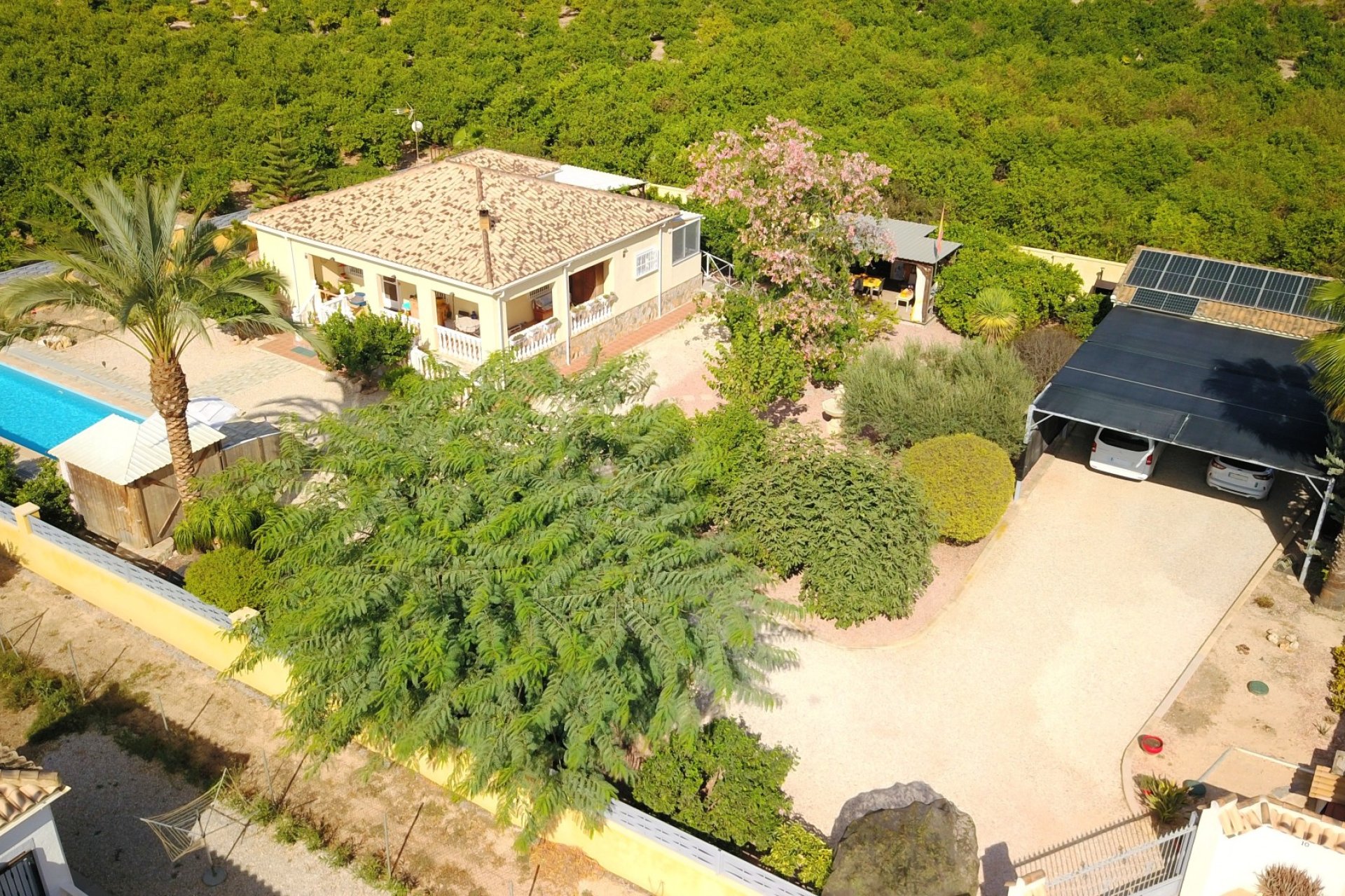 Resale - Country House - Orihuela - La Campaneta