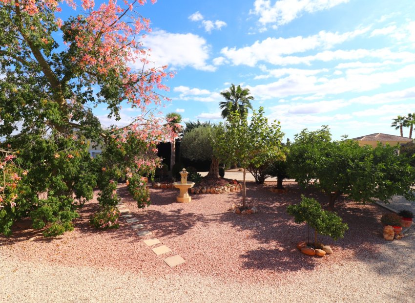 Resale - Country House - Orihuela - La Campaneta