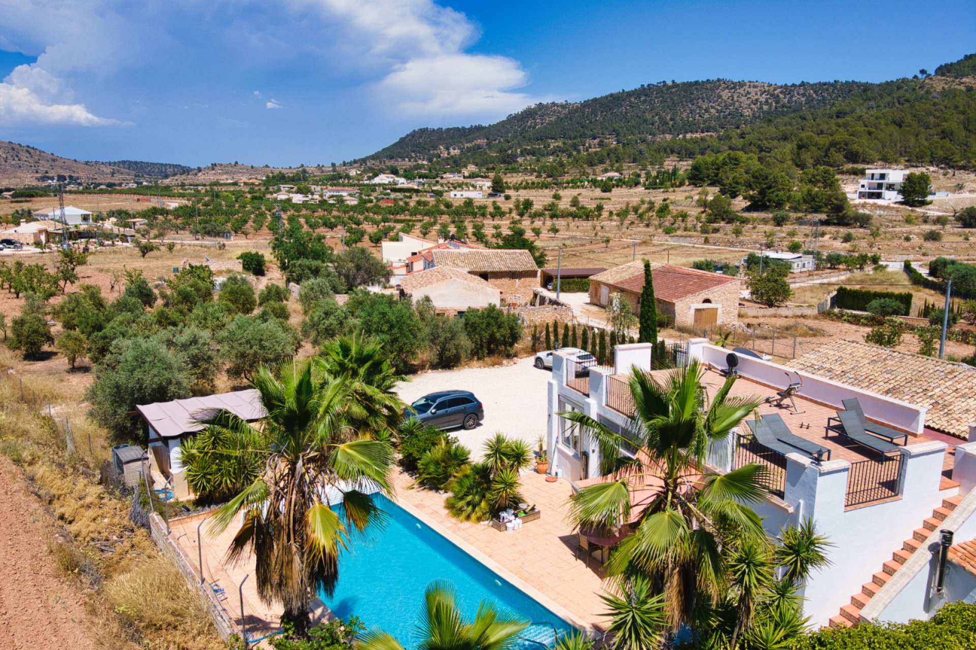 Resale - Country House - Pinoso