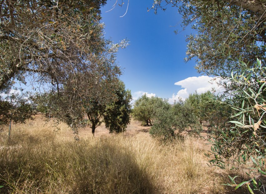 Resale - Country House - Pinoso