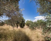 Resale - Country House - Pinoso