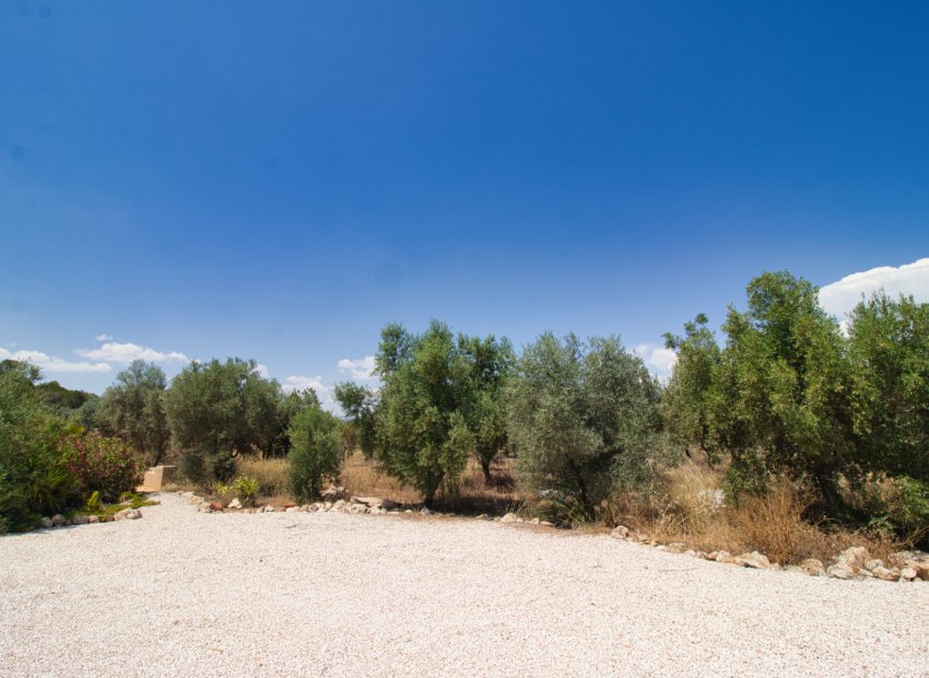 Resale - Country House - Pinoso