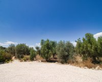 Resale - Country House - Pinoso