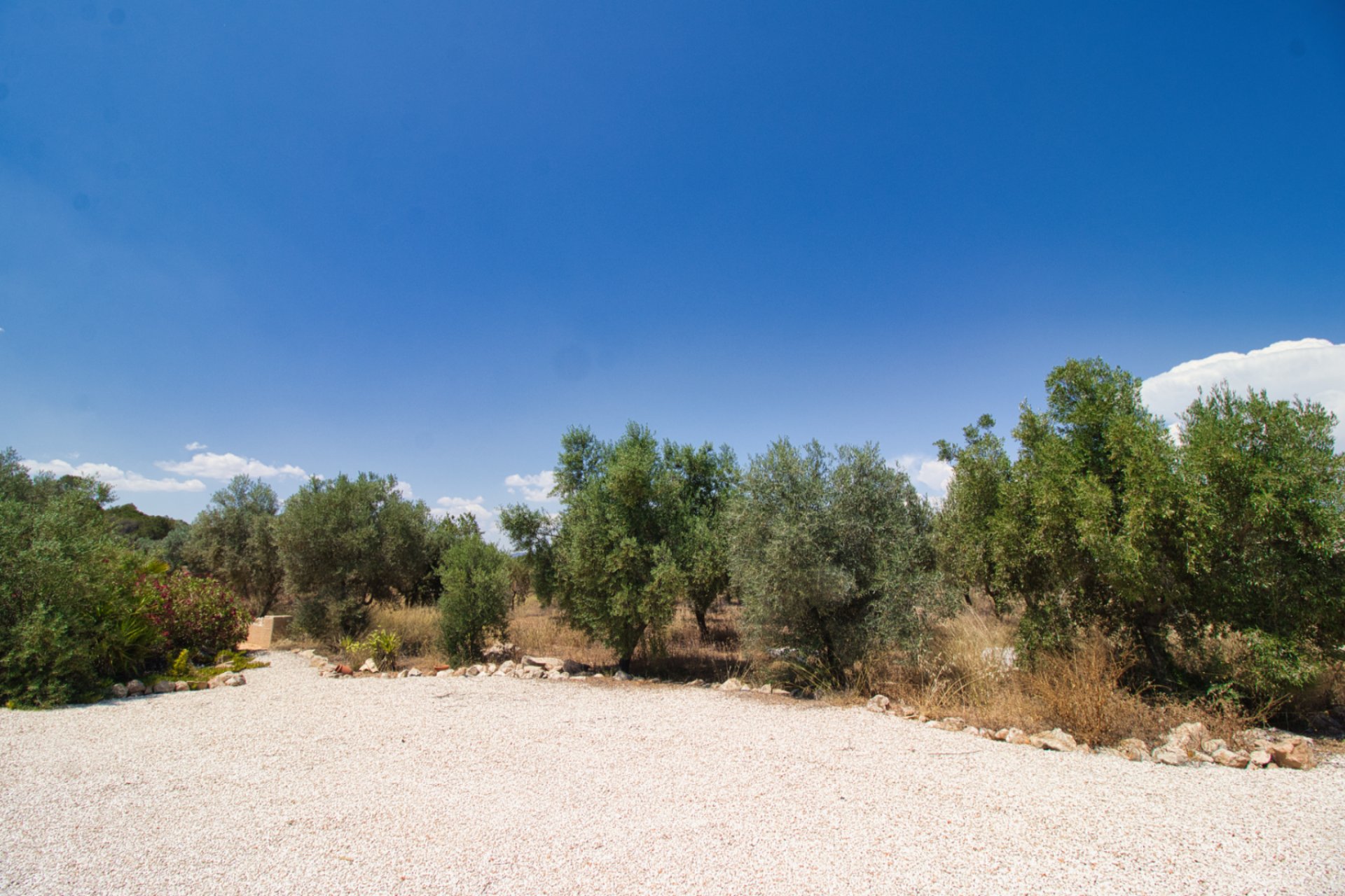 Resale - Country House - Pinoso