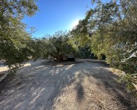 Resale - Country House - Ricote