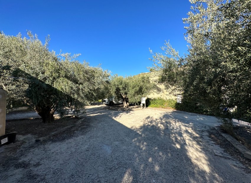 Resale - Country House - Ricote