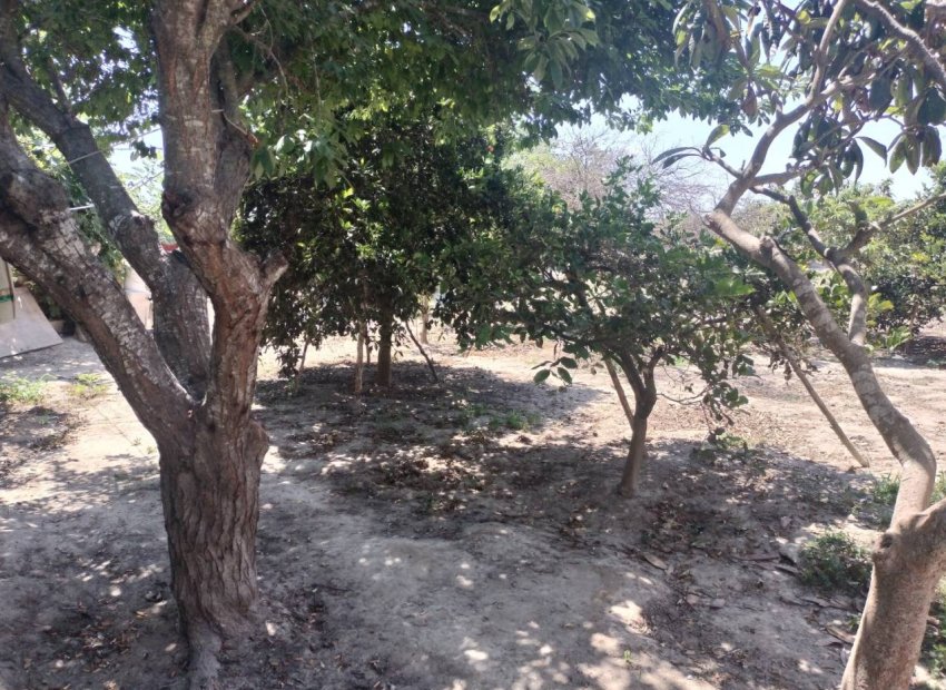 Resale - Country House - Rojales - Ciudad Quesada