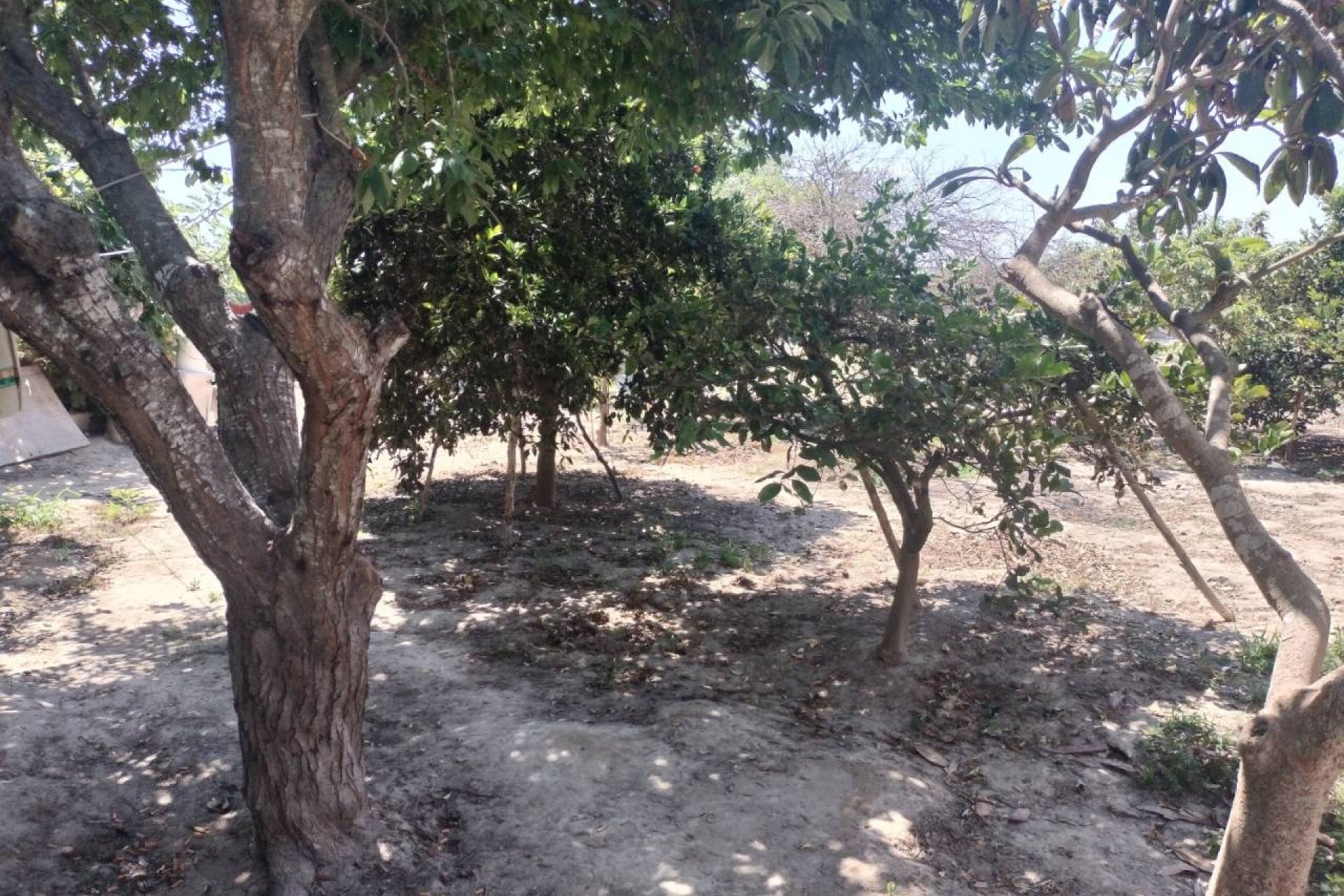 Resale - Country House - Rojales - Ciudad Quesada