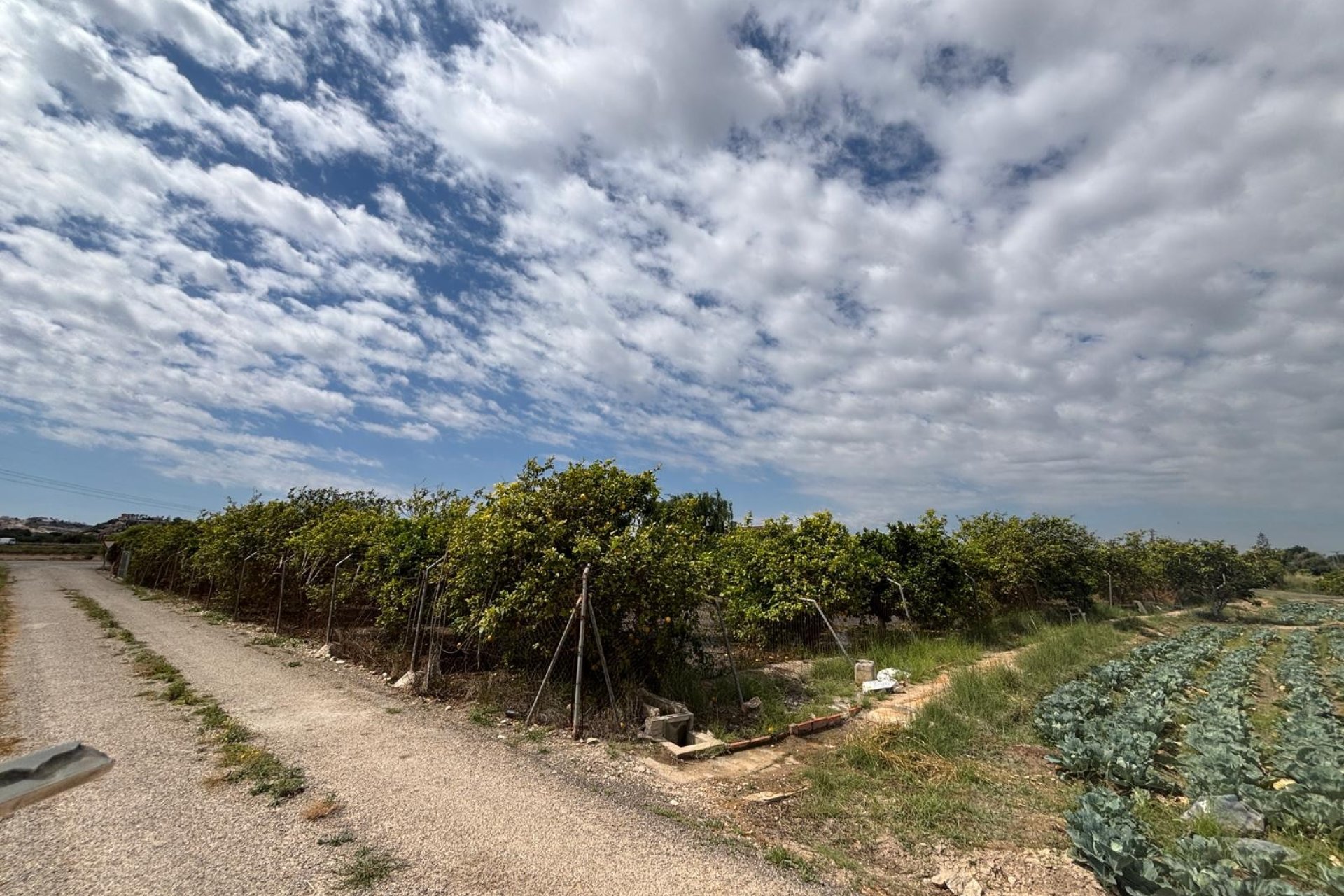 Resale - Country House - Rojales - Ciudad Quesada