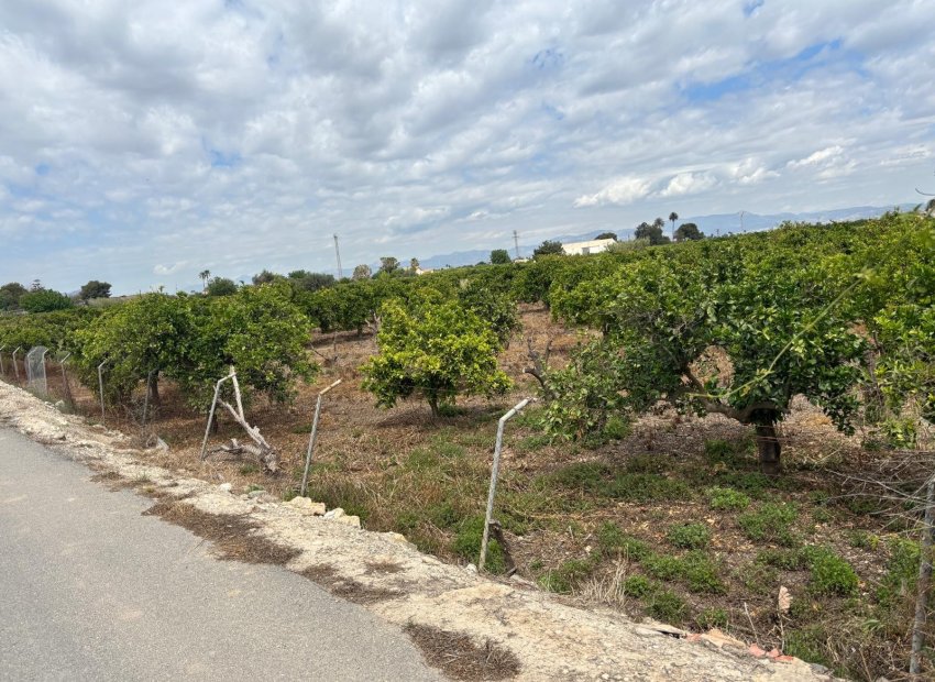 Resale - Country House - Rojales - Ciudad Quesada