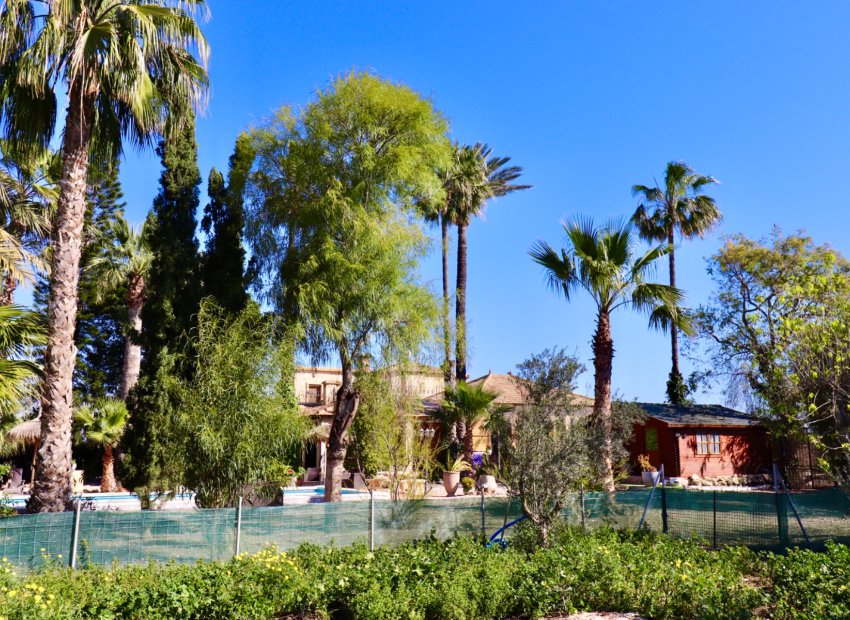 Resale - Country House - Rojales - Heredades