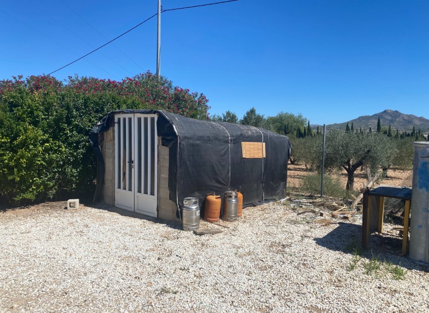 Resale - Country House - Salinas