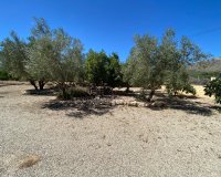 Resale - Country House - Salinas