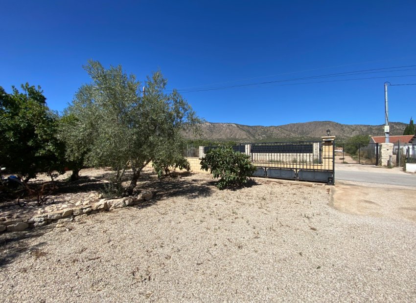 Resale - Country House - Salinas