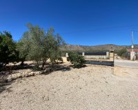 Resale - Country House - Salinas