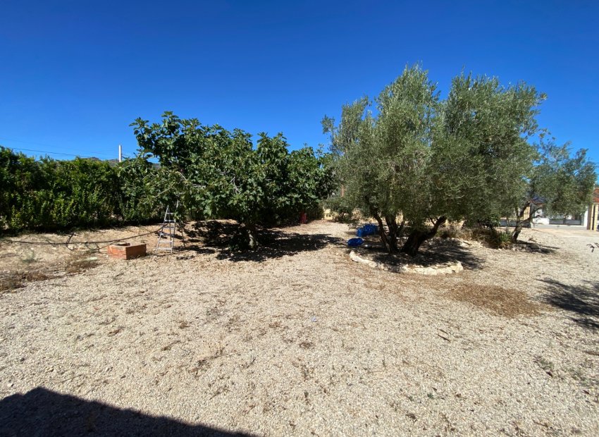 Resale - Country House - Salinas