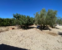 Resale - Country House - Salinas