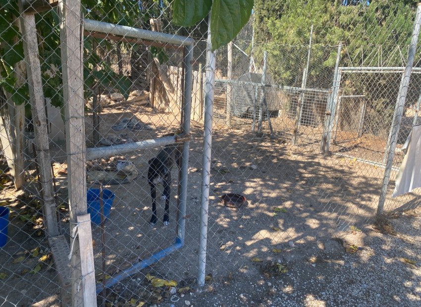 Resale - Country House - Salinas