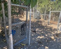 Resale - Country House - Salinas