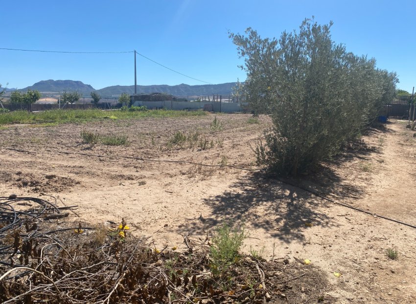 Resale - Country House - Salinas