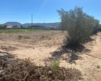 Resale - Country House - Salinas