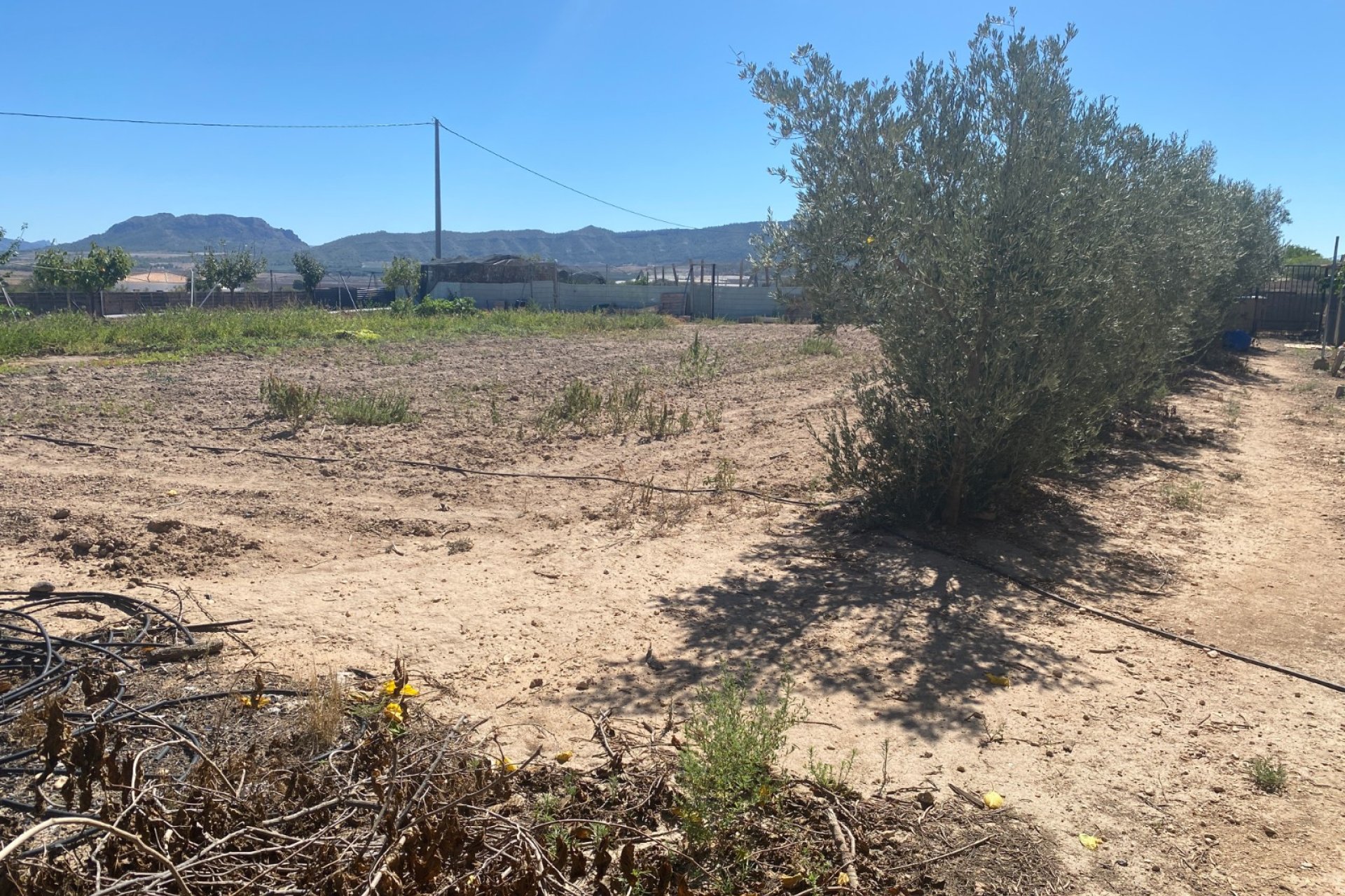 Resale - Country House - Salinas