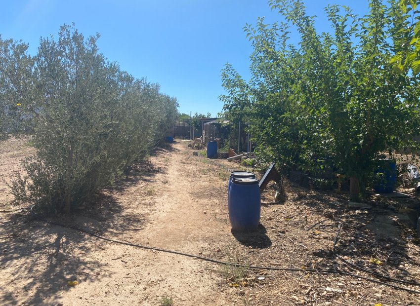 Resale - Country House - Salinas