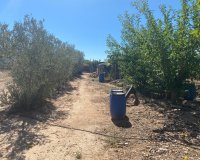 Resale - Country House - Salinas