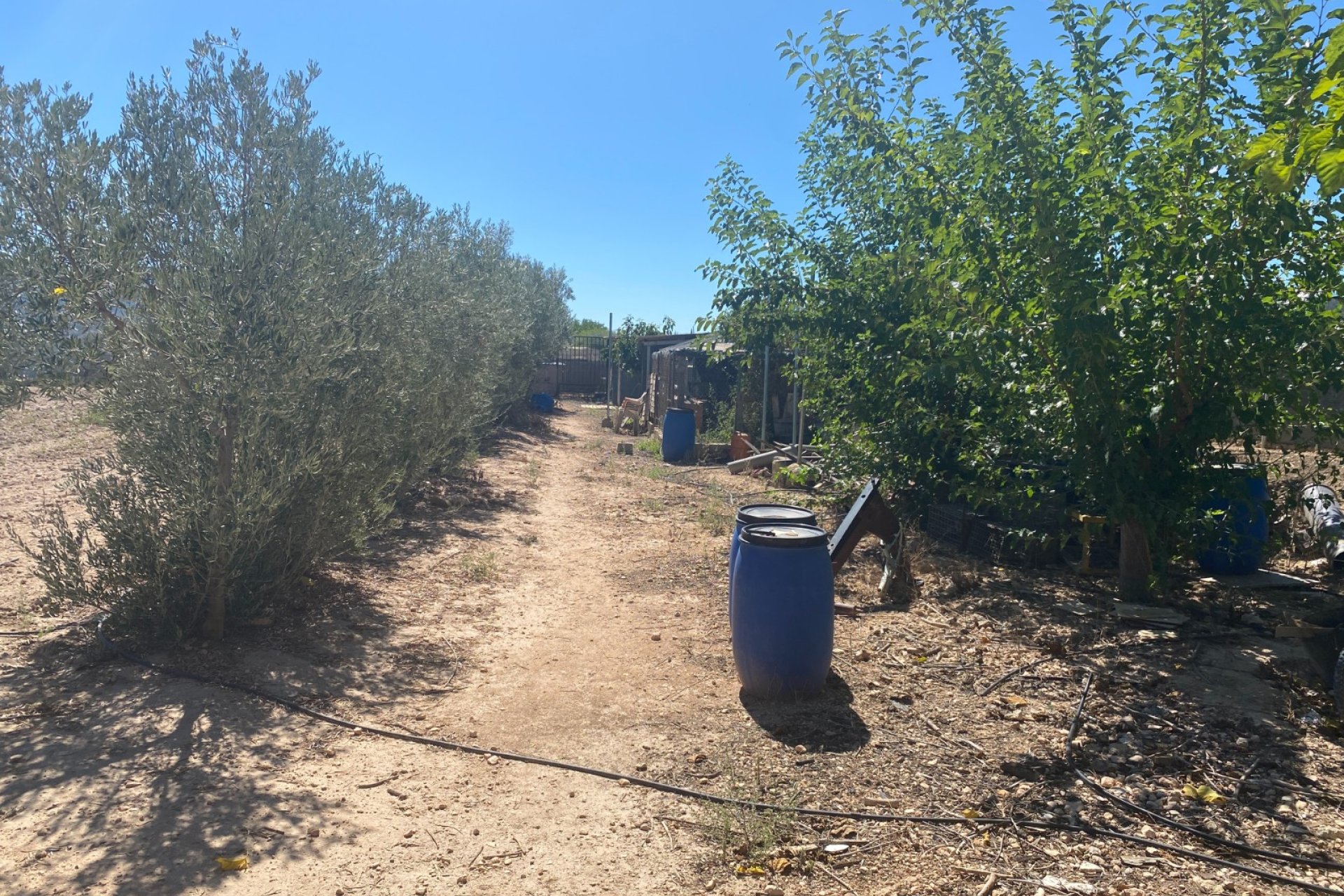 Resale - Country House - Salinas