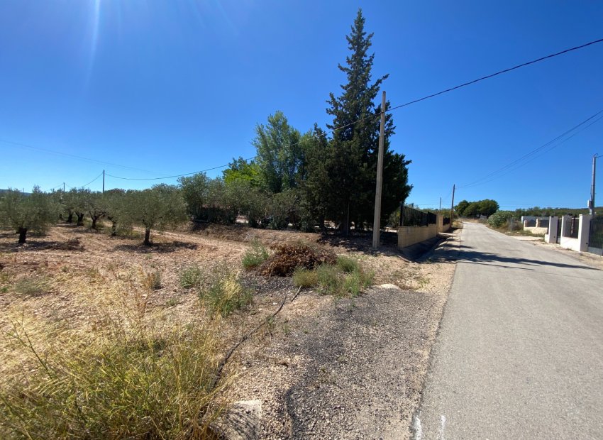 Resale - Country House - Salinas