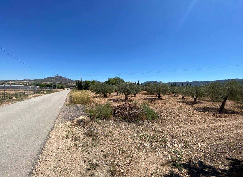 Resale - Country House - Salinas