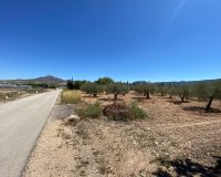 Resale - Country House - Salinas