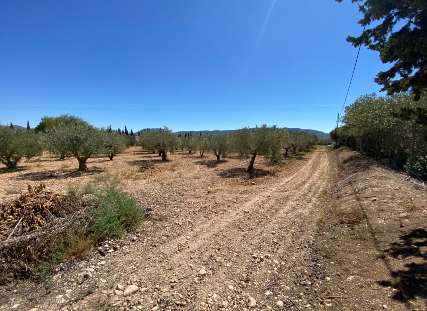 Resale - Country House - Salinas