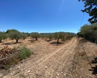 Resale - Country House - Salinas