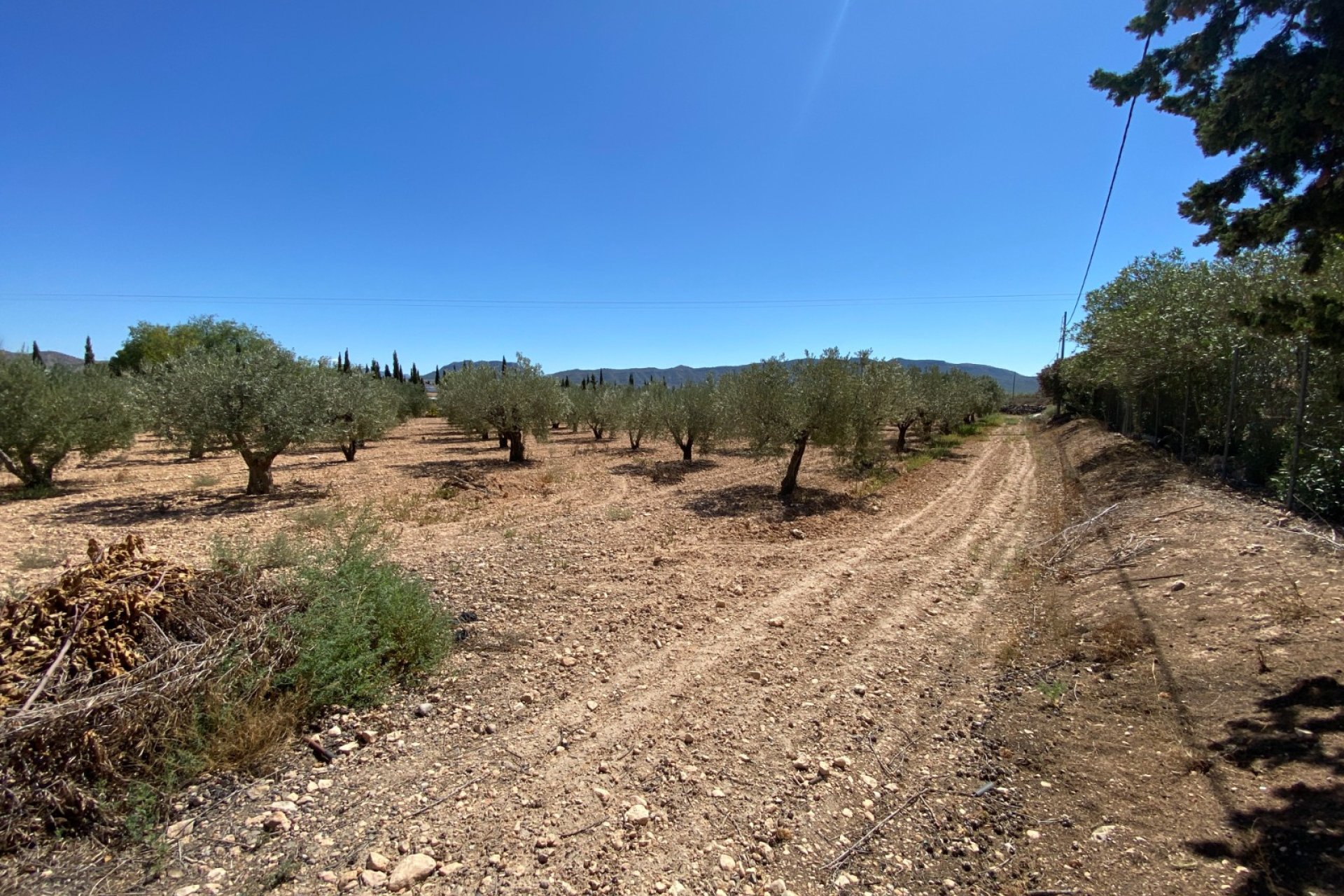 Resale - Country House - Salinas