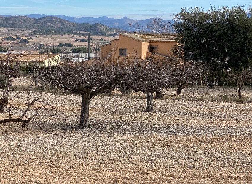 Resale - Country House - Salinas