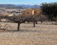 Resale - Country House - Salinas