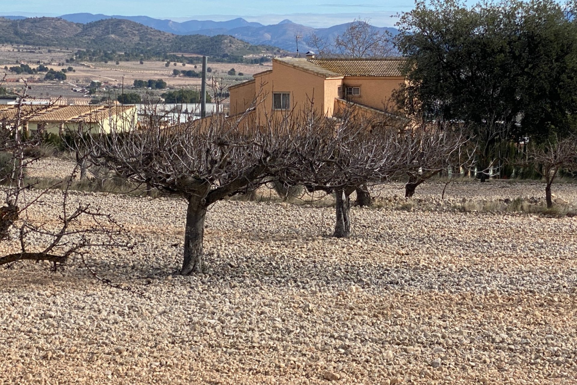 Resale - Country House - Salinas