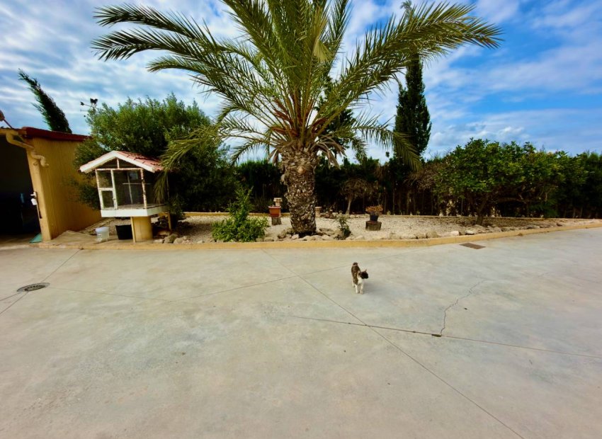 Resale - Country House - San Fulgencio - La Marina