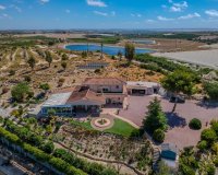 Resale - Country House - San Miguel de Salinas - Torremendo